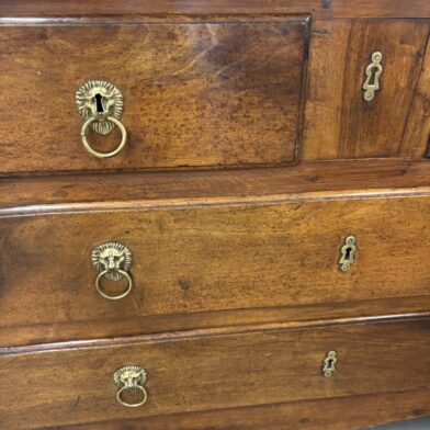 Walnut Lion’s Head Chest